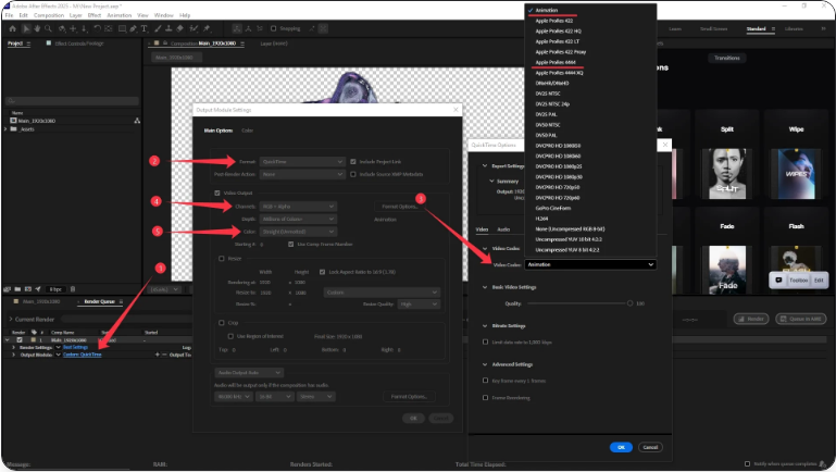 How to Export a Video with a Transparent Background in After Effects (3 Simple Steps)