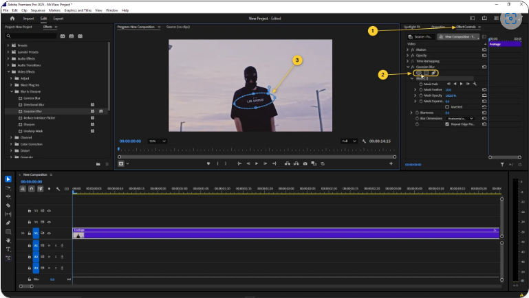 How to Blur in Premiere Pro (4 Simple Steps)