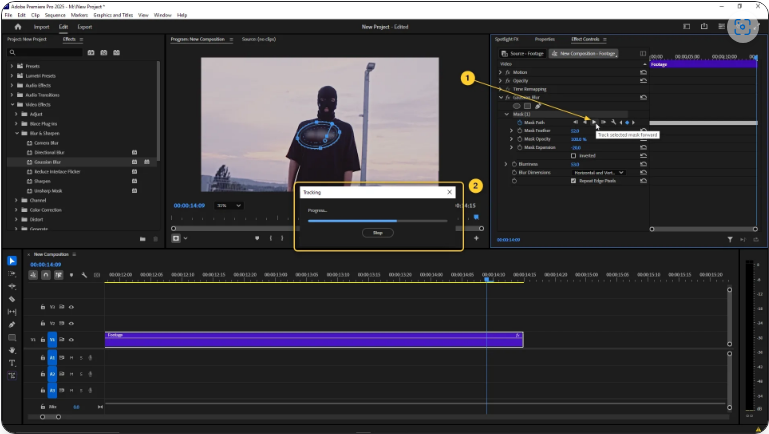 How to Blur in Premiere Pro (4 Simple Steps)