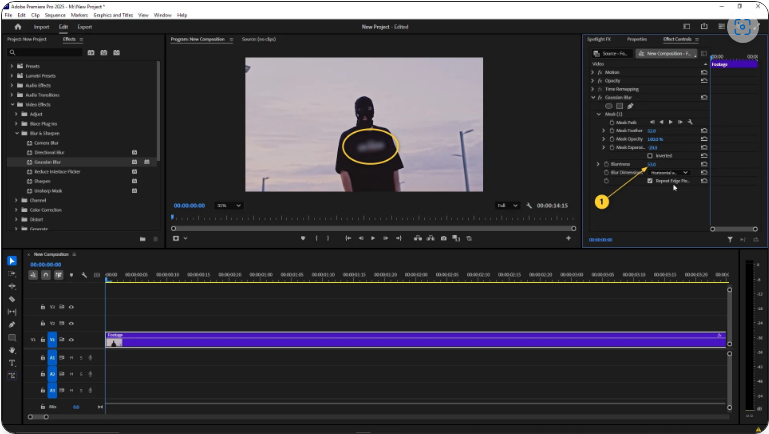 How to Blur in Premiere Pro (4 Simple Steps)
